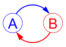 positive-feedback-loop